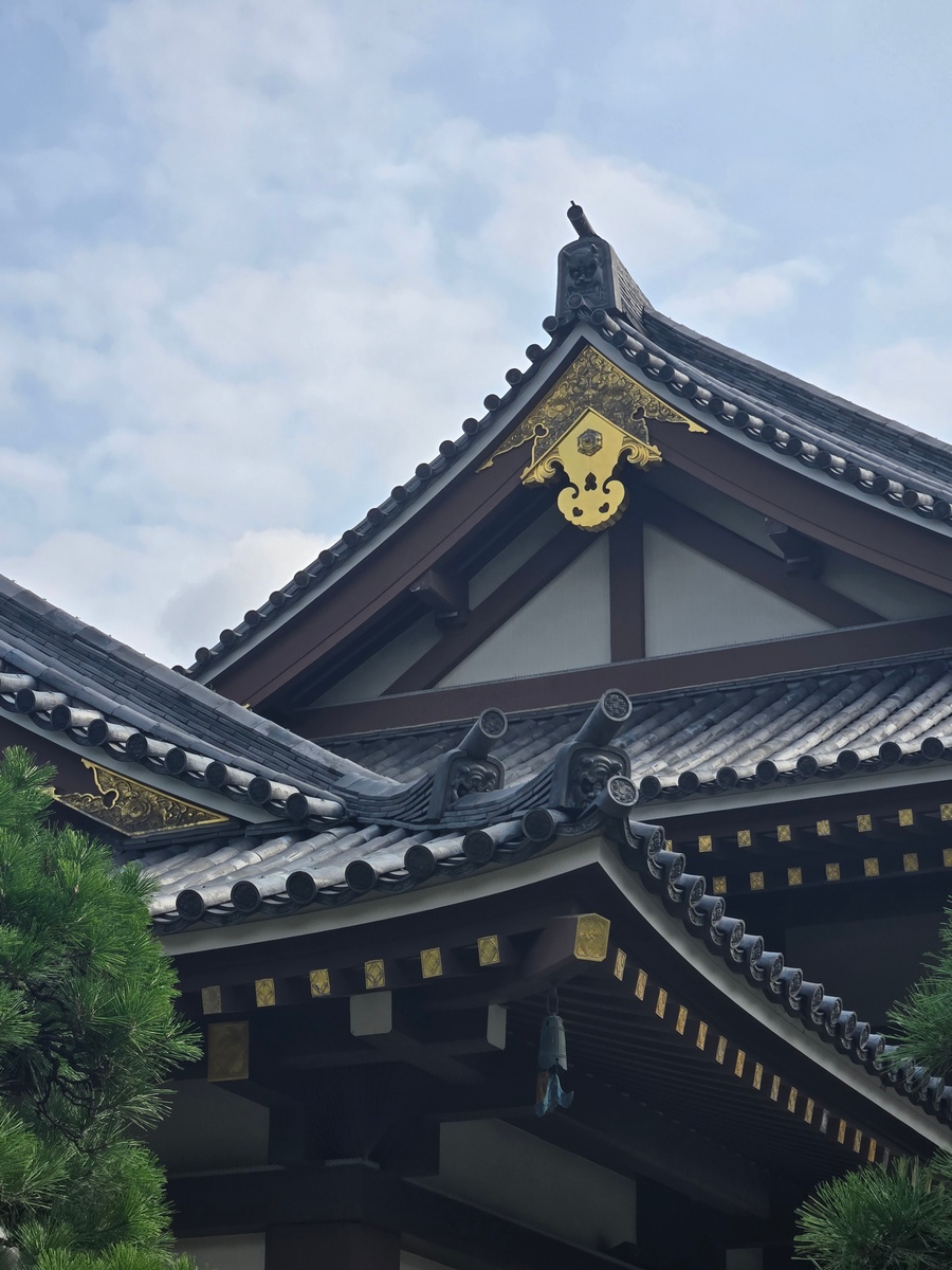 Japan south korea 2025 03